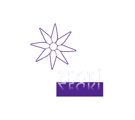 zegri2